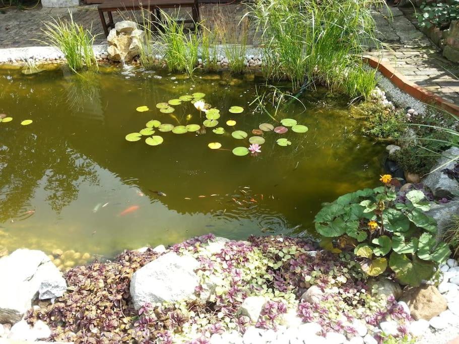 Refugium Holiday home Ottenthal