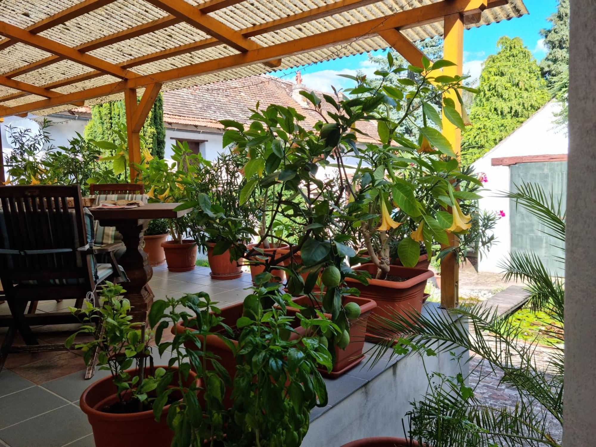 Refugium Holiday home *